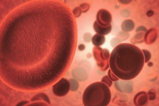 Potenciálně toxická atmosféra do 50 let? Nová studie odhalila nárůst CO2 v krvi lidí