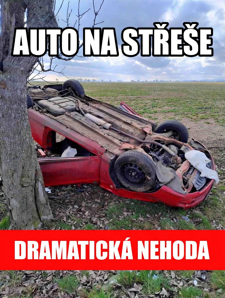 Obrázek u příspěvku číslo 1