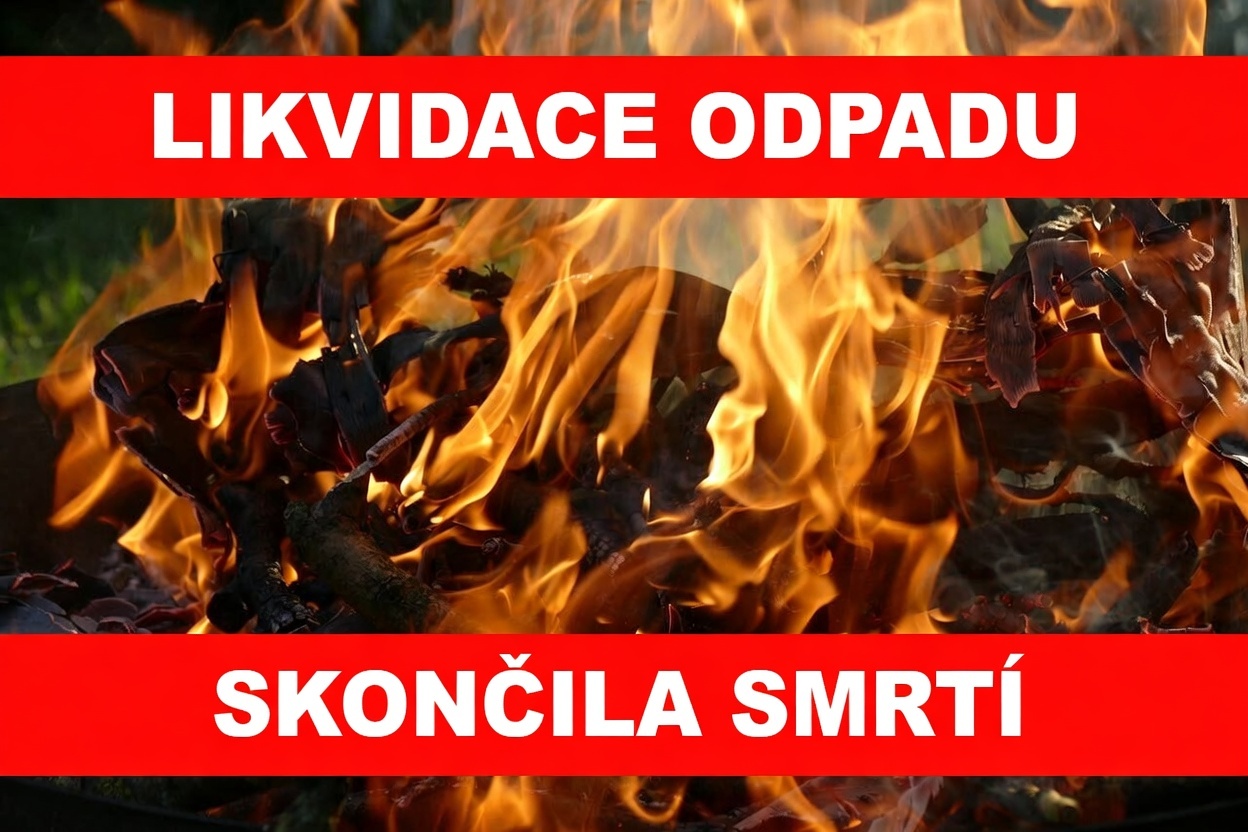 Obrázek u příspěvku číslo 1