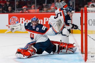 Bývalý reprezentační brankář Slovenska sklouzl z ledové na šikmou plochu - Sport.cz