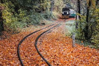 Jela...dojela mašinka aneb konec úzkokolejky - Médium.cz