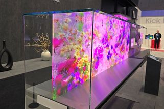 Samsung na Slovensku končí s výrobou televizí, práci ztratí 750 lidí - Novinky