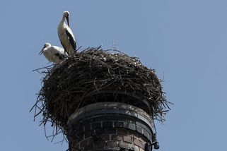 Vyšetřování skončilo. Platí, co řekl Agrofert - Seznam Zprávy