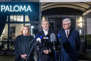 Astratex, Nestlé i zámeček ve Francii. V majetku šéfa ANO není jen holding - Novinky