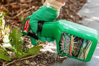 Akcie Bayeru prudce vyskočily. Soudci v USA se podívají na kauzu Roundup - Seznam Zprávy