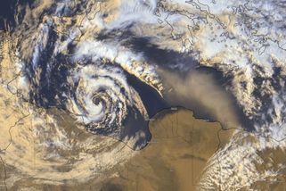 Středomořím putuje vzácný medikán - Novinky