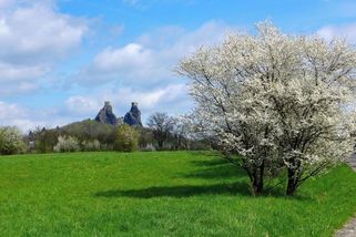 Je čas uznat porážku a odejít z diskuzí na Seznamu - Médium.cz
