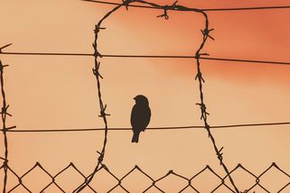 Nejdřív indiáni, pak vrazi: Dětský gang řádil v ruinách poválečného Mnichova - Médium.cz