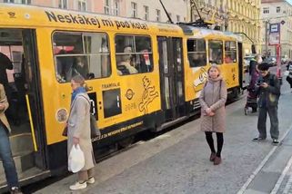 Šokující kampaň v Praze. Dopravní podnik po smrti školačky namaloval na tramvaje skóre 0:1 - Novinky