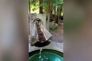 Na Šumavě jsou i malé Lurdy. Video s pramenem sledují na internetu desítky tisíc lidí