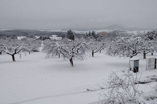 Česko zasype sníh, pak přijde ledovka - Novinky