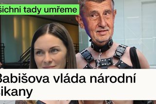 Babišova vláda národní šikany | Studio Alarm