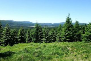 Když se les ozval střelbou. Tragédie v Jizerských horách 1949 - Médium.cz