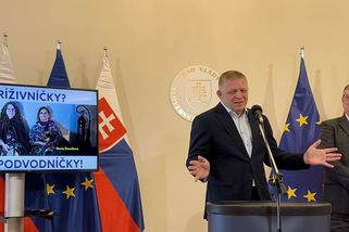 Fico české volby nekomentuje, Babišovi podporu neoplatí - Novinky