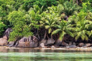 Brit si koupil ostrov na Seychelách. Luxusu se vysmíval a odmítal i pohádkové nabídky na prodej - Médium.cz