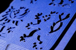 FOTO: Nová Ústava je výrazně modrá. Politici na ni budou skládat slavnostní sliby - Novinky