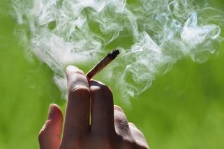 Daleko od škol i od hospod. Kde se má v Česku prodávat marihuana - Seznam Zprávy