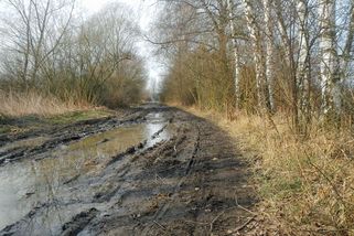 Vánoce na blátě se vším všudy. Déšť a teploty nad 10 stupňů - Novinky