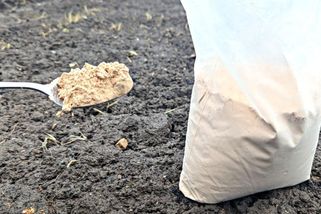 Pár lžic kouzelného prášku hravě nahradí celý náklaďák hnoje: Jakmile ho rozsypu po záhonech, vše na zahradě roste jak zblázněné