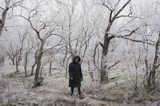 Nové varování: Ledovku večer vystřídá náledí - Novinky