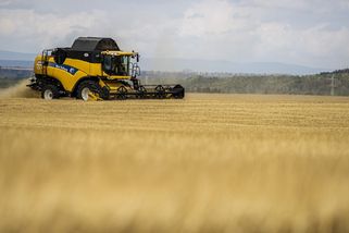 seznamzpravy.cz/clanek/278300