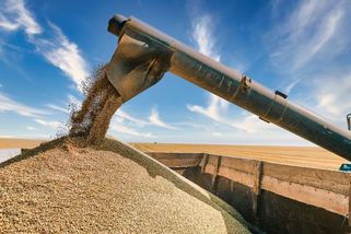 Rusko si za obilí kupuje v Africe vliv. Může tak lépe obcházet sankce - Seznam Zprávy