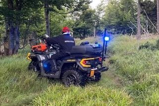 V šumavských lesích se ztratila pětiletá holčička. Hledal ji vrtulník, horská služba i pes - Novinky