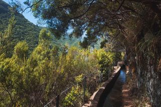 Nejvíc trendy destinací letošního roku je Madeira - Novinky