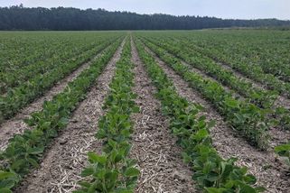 Jdou proti proudu a přibývá jich. V zemi Přemysla Oráče nechtějí orat - Seznam Zprávy