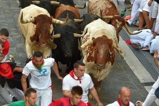 Smrt na tradičním festivalu. Muže nabral při běhu býk na rohy