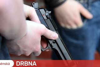 Chovatel na brněnském sídlišti vytáhl při bitce psů zbraň a zvíře zabil