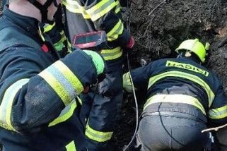 Hasiči na Českokrumlovsku vyprostili z jezevčí nory uvězněného psa Edu - Novinky