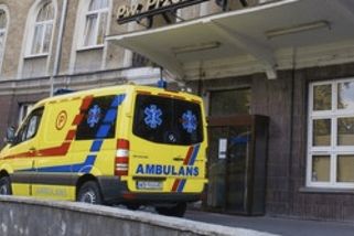 Tragický začátek roku. Bulteriér napadl teprve dvouměsíční holčičku, ta devastující zranění nepřežila