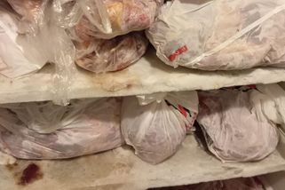 V pražské restauraci našli maso z nelegální porážky. Včetně hovězí hlavy i s očima - Novinky