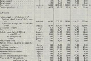 Bylo za komunistů levněji? Za průměrný plat dnes lidé nakoupí víc - Novinky