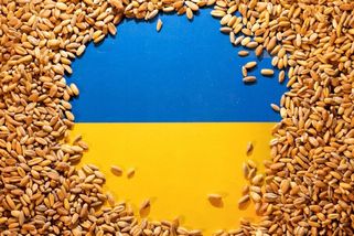 Obilí z Ukrajiny obsahuje pesticidy. Slovenský mlýn ho musí zničit - Novinky