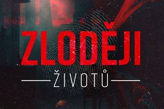 #5 KDYŽ JENOM ZABÍT NESTAČÍ - Zloději životů