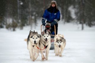 Dali úspory za vysněnou dovolenou na severu. Kvůli nedostatku sněhu teď zuří - Novinky