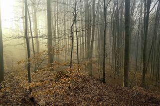 Javoříčko. Místo, kde dýchají dějiny - Médium.cz