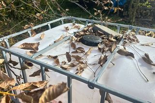 „Listy ze sousedova ořechu mi ničily zahradu,“ říká Jarek. Strom pokácet nemohl, a tak našel jiné řešení