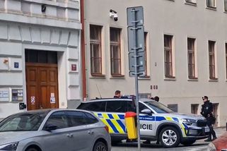 Dívka se zranila po pádu z okna základní školy na pražských Vinohradech - Novinky