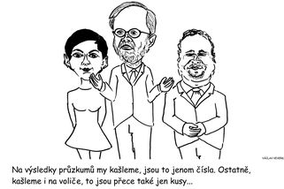 Kreslený vtip -Myslíte si, že průzkumy vyděsí vládu? - Médium.cz