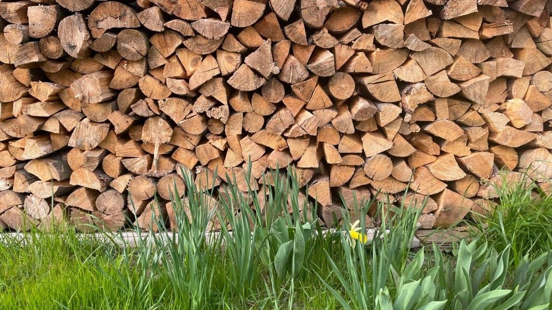 Daň za topení dřevem ministerstvo nechystá. Po internetu se šíří zkreslené informace