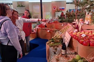 Podzimní Flora v Olomouci má letos jubileum. Organizátoři ji pojali jako oslavu v zahradě - Novinky