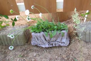 Jednoduchý zahradní květináč s nepravidelným okrajem | Tipy za hubičku