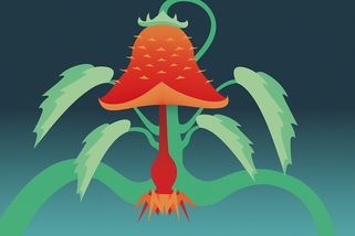 Den Trifidů: Knižní klasika, která jen tak neomrzí - Médium.cz