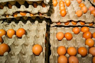 Vejce nad zlato: Jejich přestřelená cena rozpálila lidi do běla