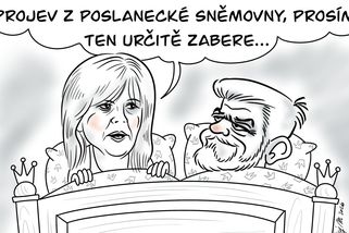 Prezident umí uspat - Médium.cz