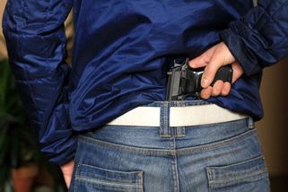 V Brně se poprali psi. Jednoho majitel postřelil - Novinky