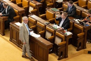 Poslanci se vrátili ke zvýšení svých platů. Řadě zemí se výdělky ani neblíží - Seznam Zprávy